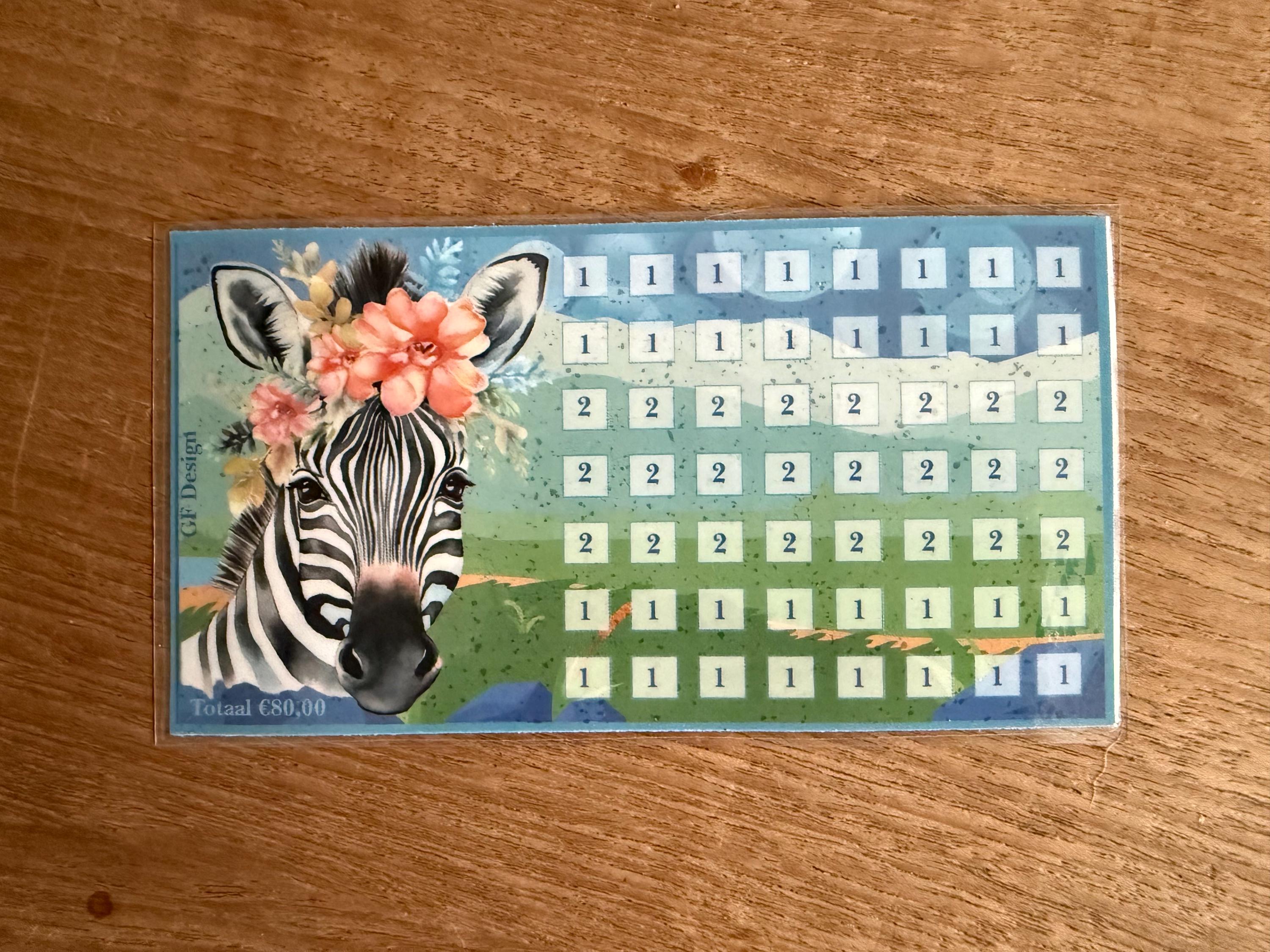 Cash stuffing challenge The Wild