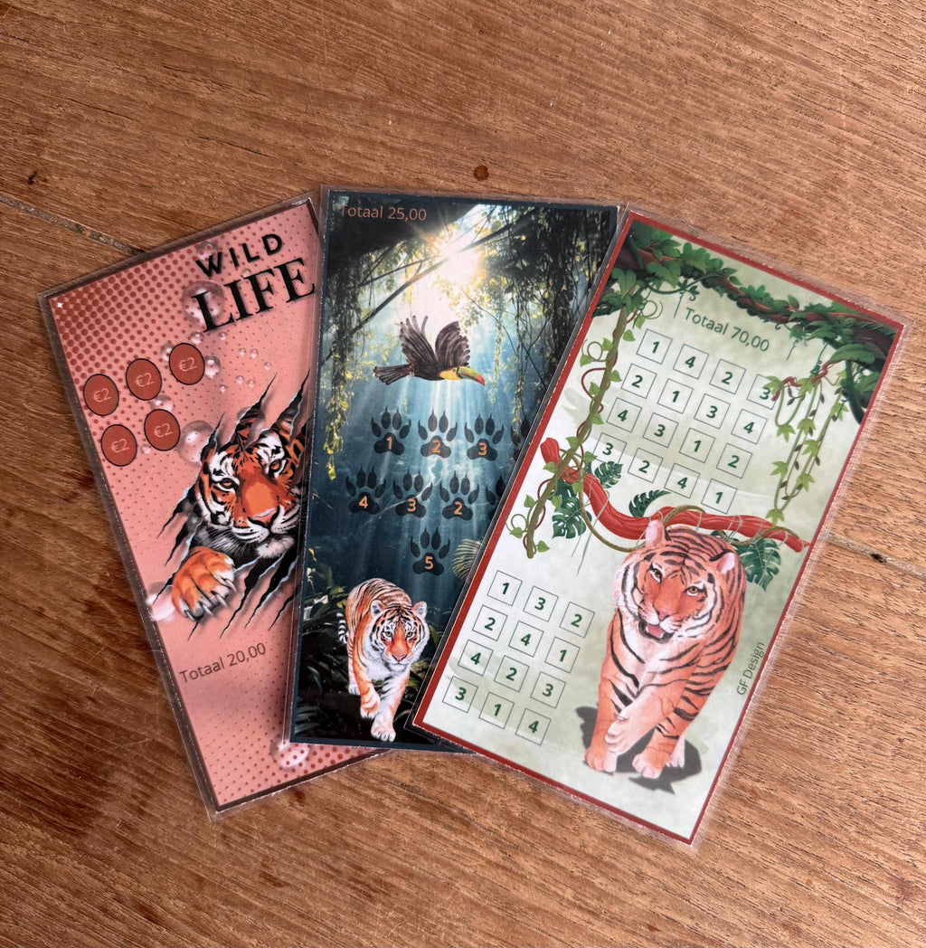 Cash stuffing challenge A6 The Tiger