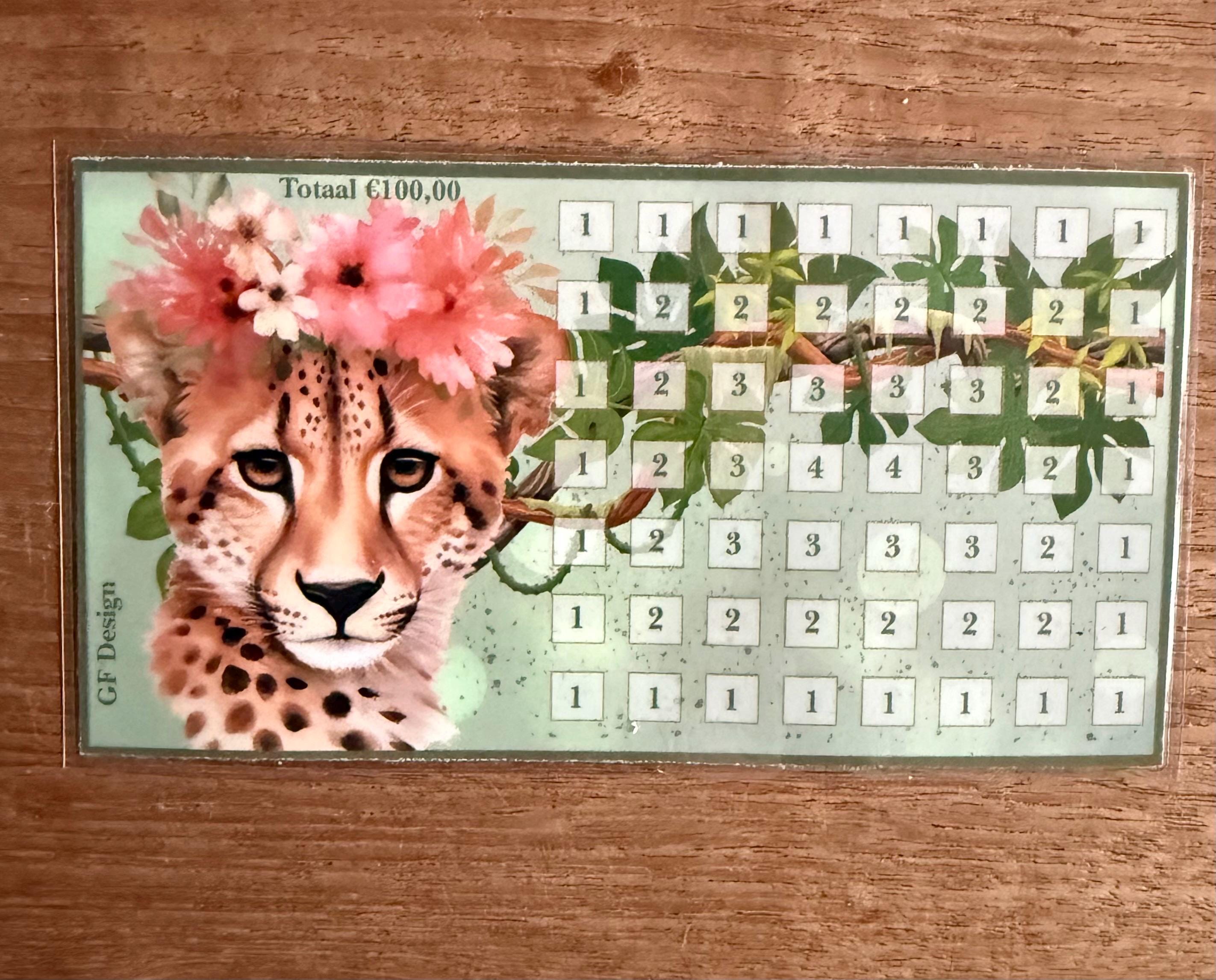 Cash stuffing challenge The Wild