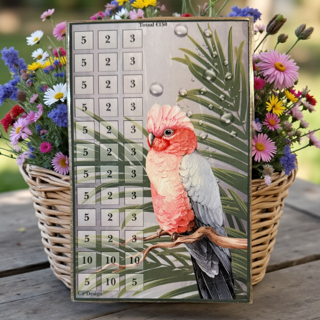 A5 Cash stuffing challenge Kaketoe