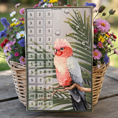 A5 Cash stuffing challenge Kaketoe