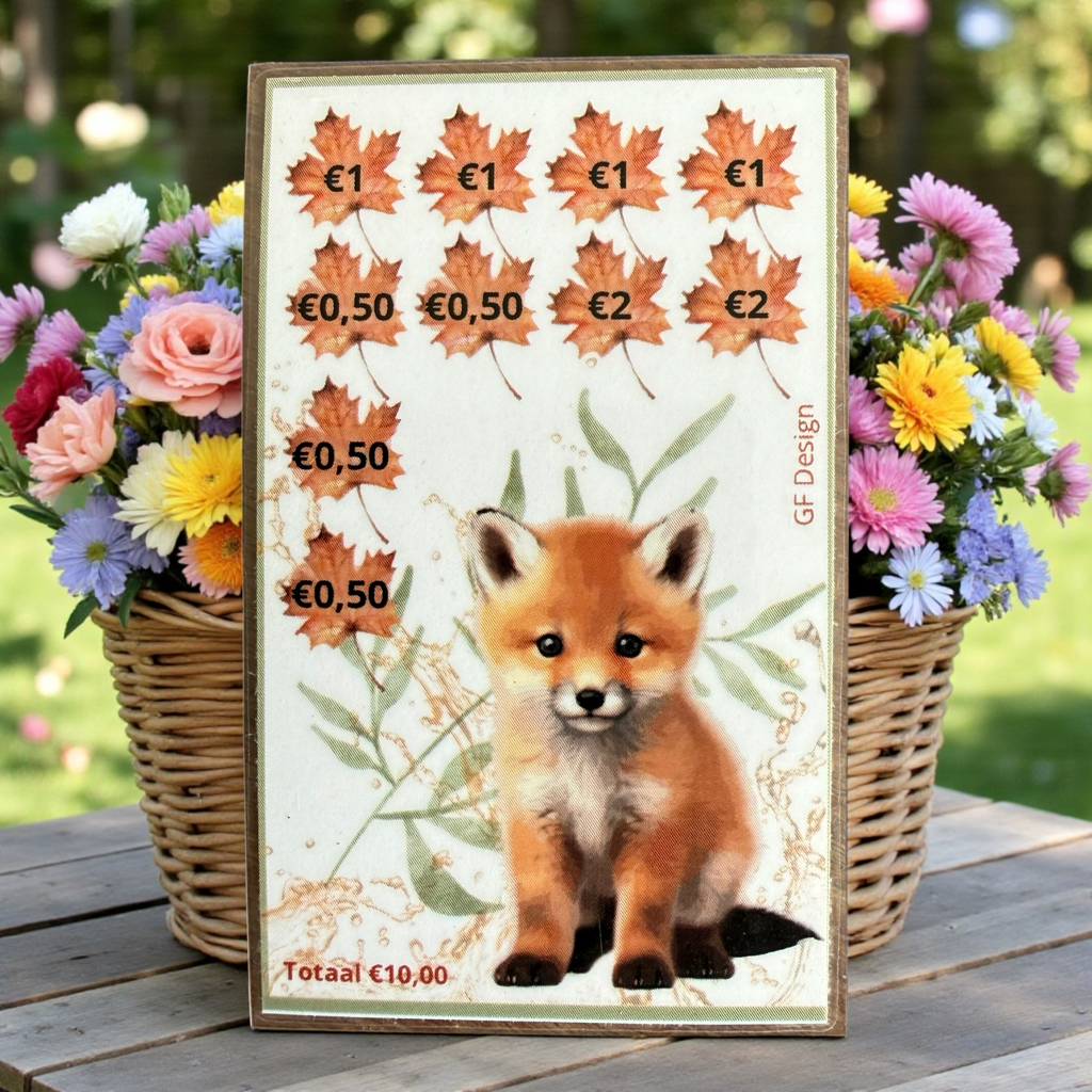 A7  cash stuffing challenge Bosdieren krassers