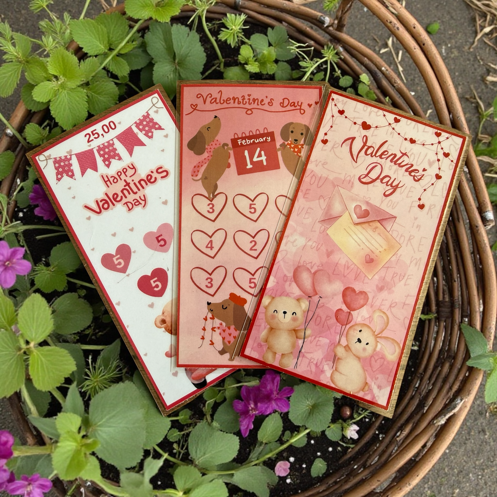 Cash stuffing challenge Valentijn