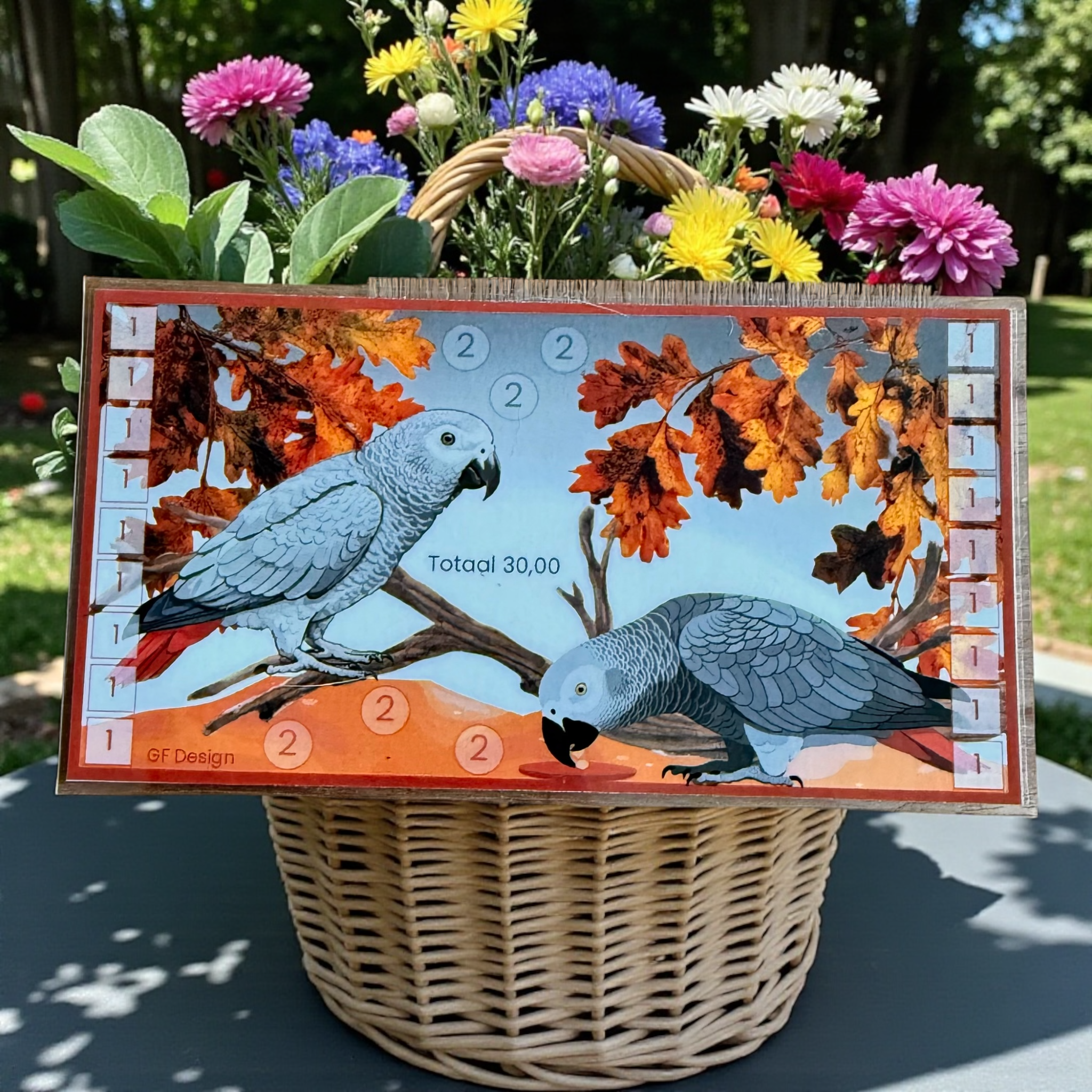 Cash stuffing challenge Papegaaien