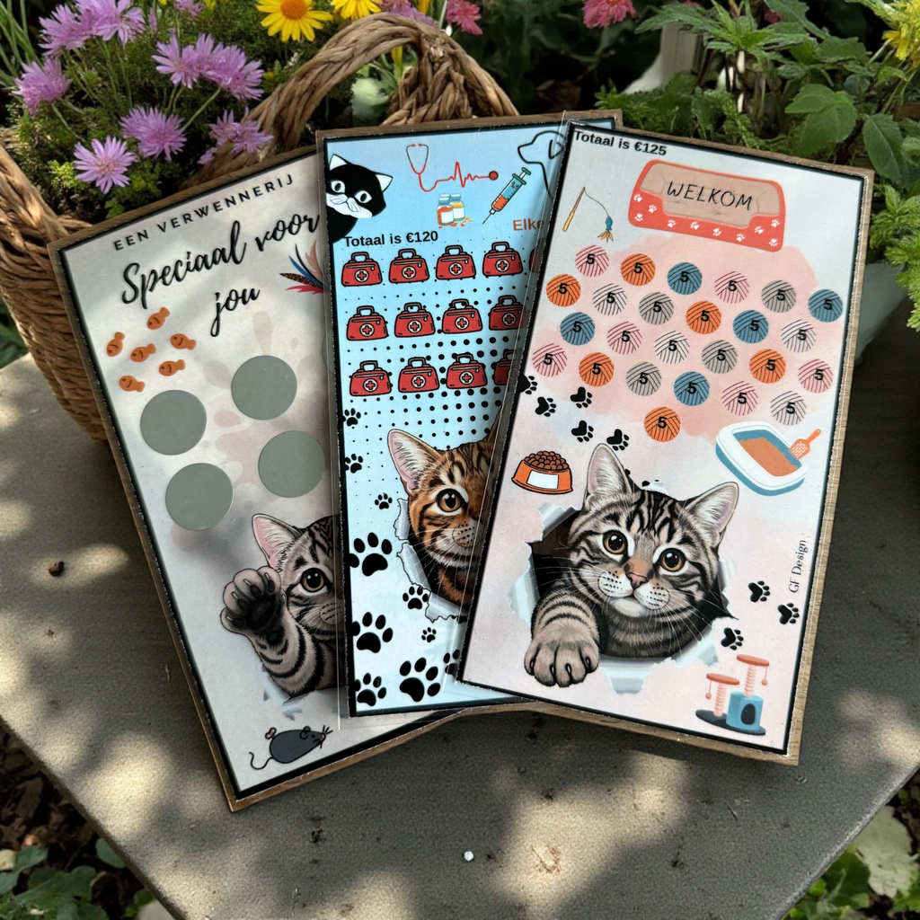 Spaarkaarten Nieuwe Poes - Cash Stuffing Challenge Set (3 stuks)